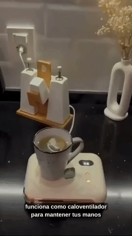 CALENTADOR DOMESTICO