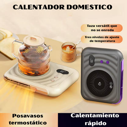 CALENTADOR DOMESTICO